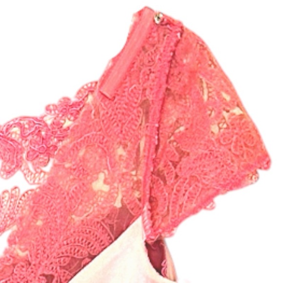 $458 Tadashi Shoji Lace + Corded Embroidery Evening Gown 4 Pink Boat Neck NWT - Picture 8 of 15